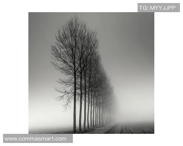 亚当斯的传奇人生与影响力探究：从历史到现代的深远启示