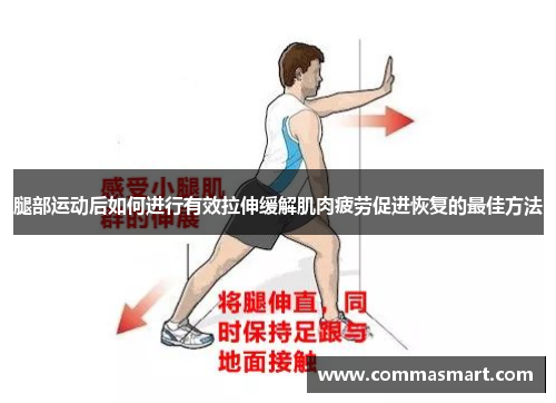 腿部运动后如何进行有效拉伸缓解肌肉疲劳促进恢复的最佳方法