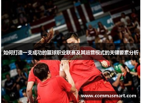 如何打造一支成功的篮球职业联赛及其运营模式的关键要素分析